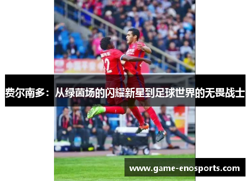 费尔南多：从绿茵场的闪耀新星到足球世界的无畏战士