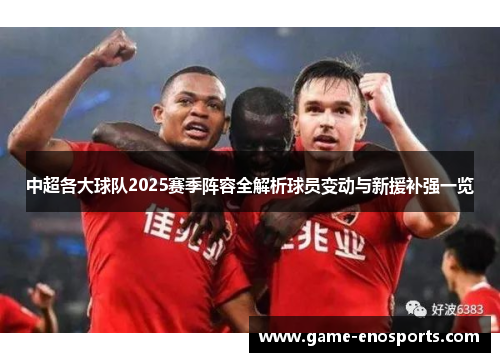 中超各大球队2025赛季阵容全解析球员变动与新援补强一览