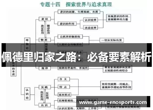 佩德里归家之路：必备要素解析